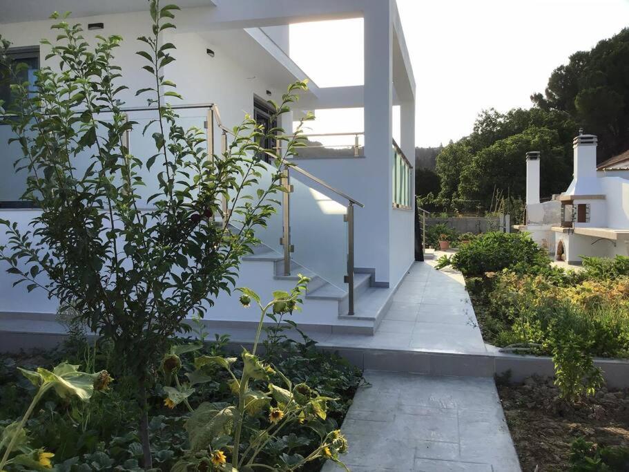 Zante Luxury Apartment Argassi Exteriér fotografie